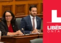 Ontario Liberal Party leadership election 2026